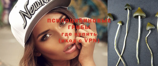 apvp Белокуриха