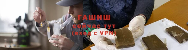 гидра Богородицк