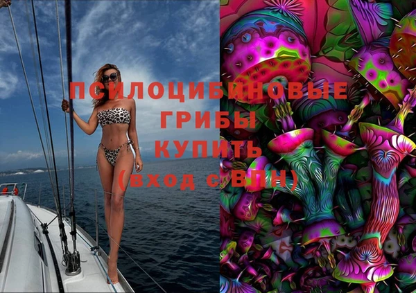 apvp Белокуриха
