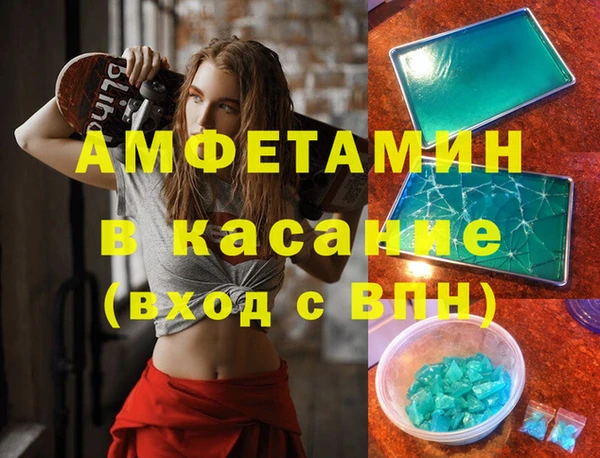 гидра Богородицк