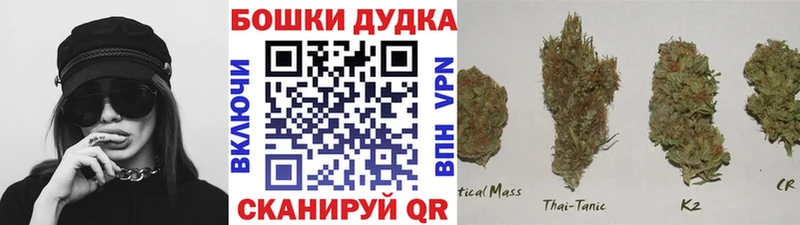 МАРИХУАНА тримм  ссылка на мегу   Мезень 